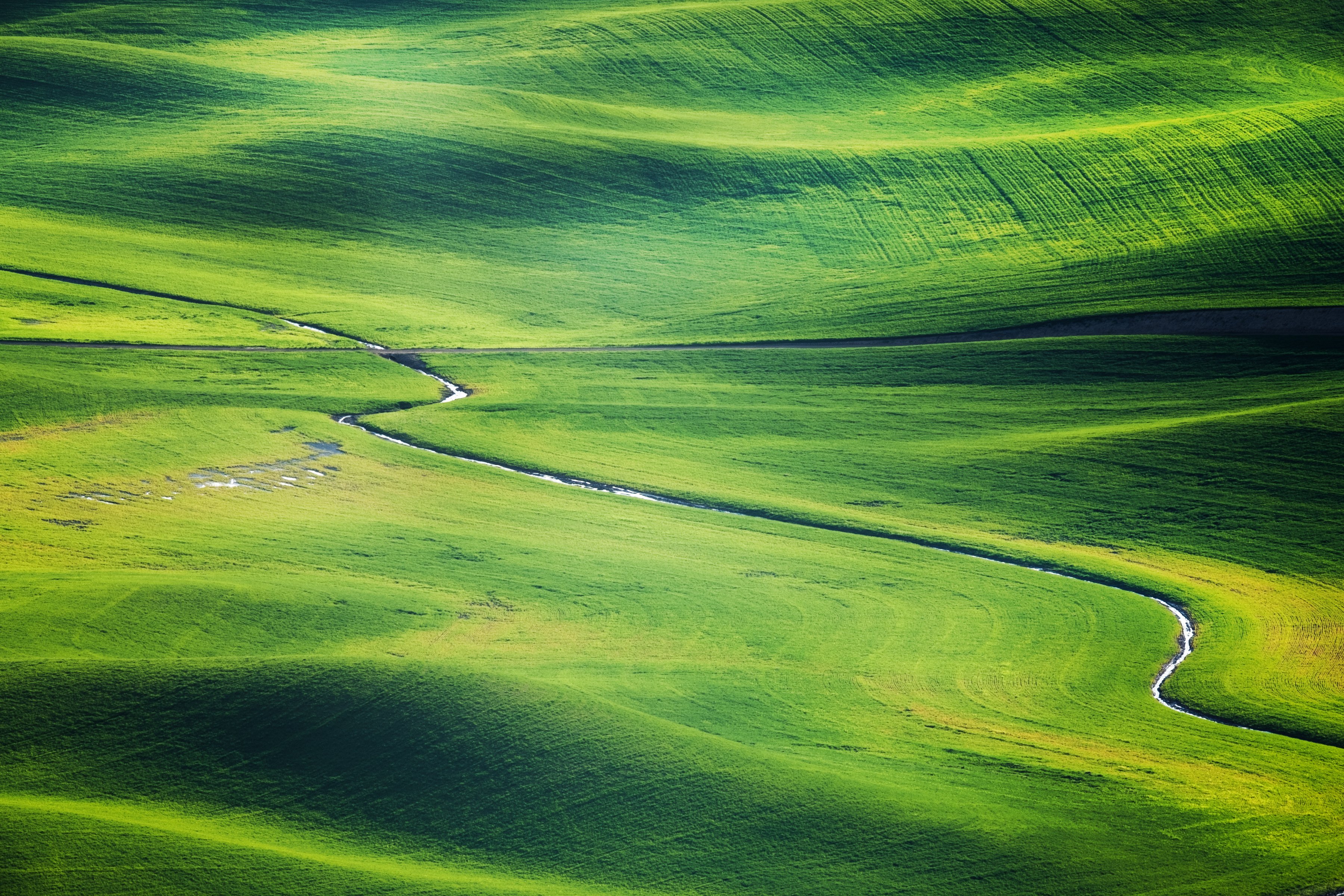 Green Grass Field